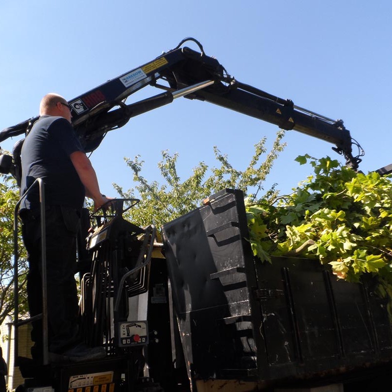 Groot onderhoud bomen Harteheem - 13 van 15