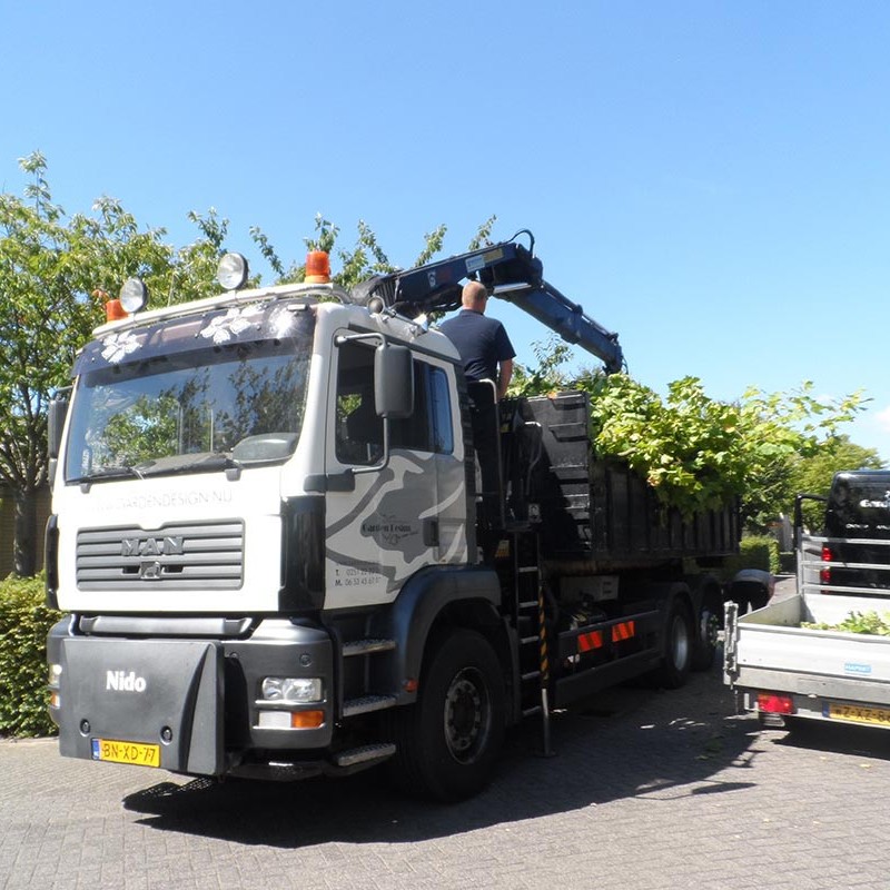 Groot onderhoud bomen Harteheem - 15 van 15