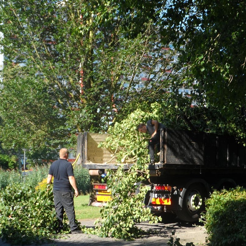 Groot onderhoud bomen Harteheem - 2 van 15