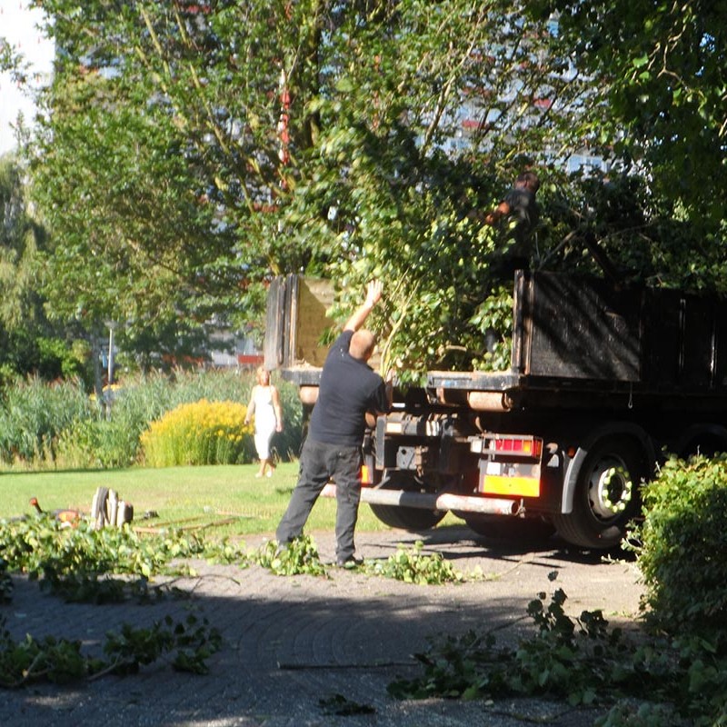 Groot onderhoud bomen Harteheem - 3 van 15