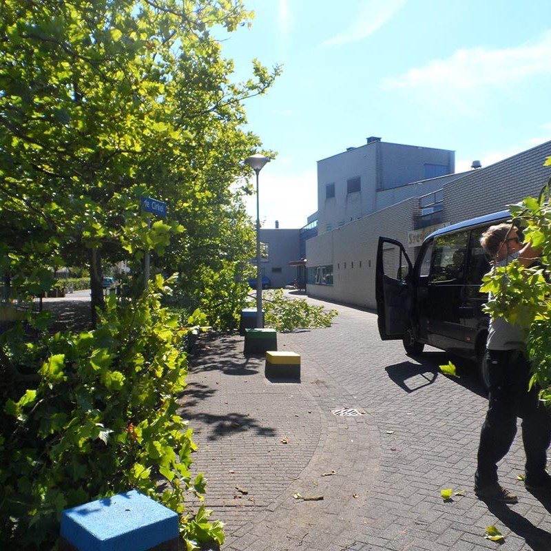 Groot onderhoud bomen Harteheem